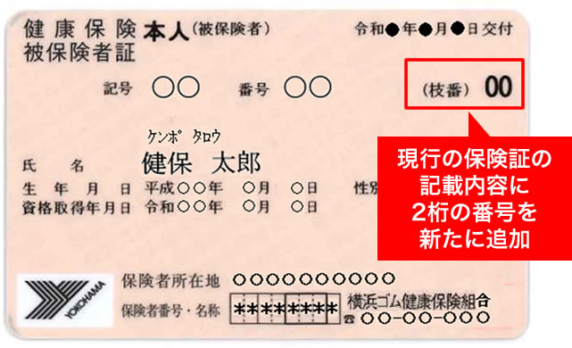 保険証 見本